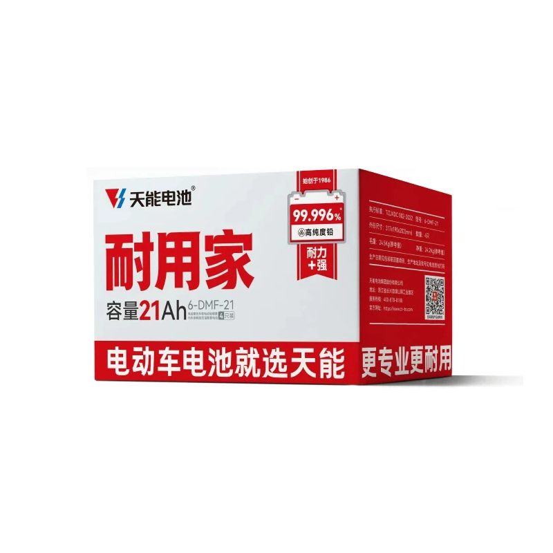 天能 6-DMF-21 12V 21Ah 耐用家包装箱